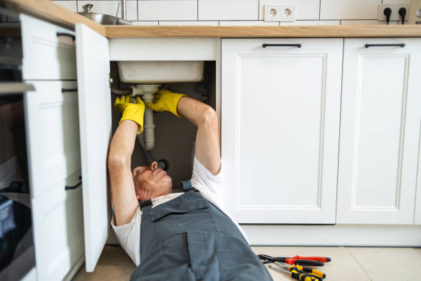 Best Plumbing Services Near Me  in Bradley, IL